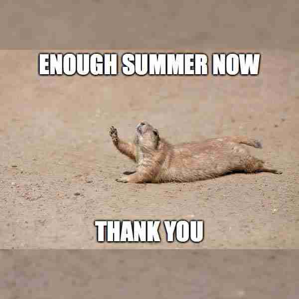 Pray enough summer hot weather season rabbit funny meme