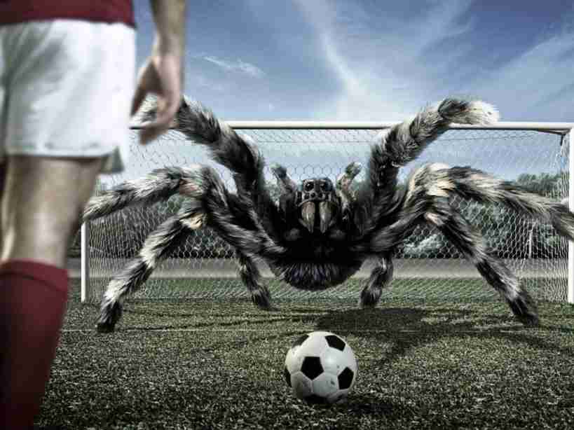 Amazing soccer with spider hd wallpaper free