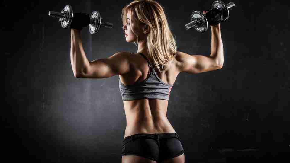 Gym girl workout fitness hd wallpaper