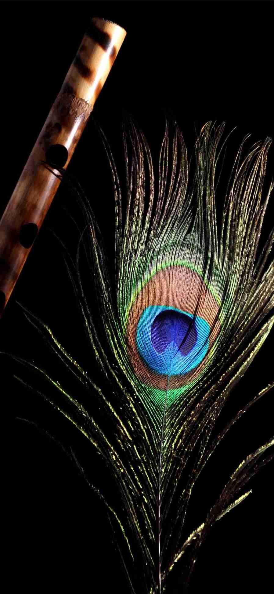 Krishna flute and peacock feather mobile wallpaper