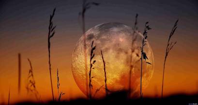 Supermoon nature nice hd wallpaper free for desktop